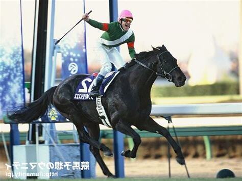 2002年 馬